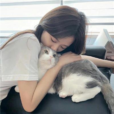 大汉风之胯下之辱